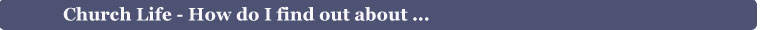 About Us